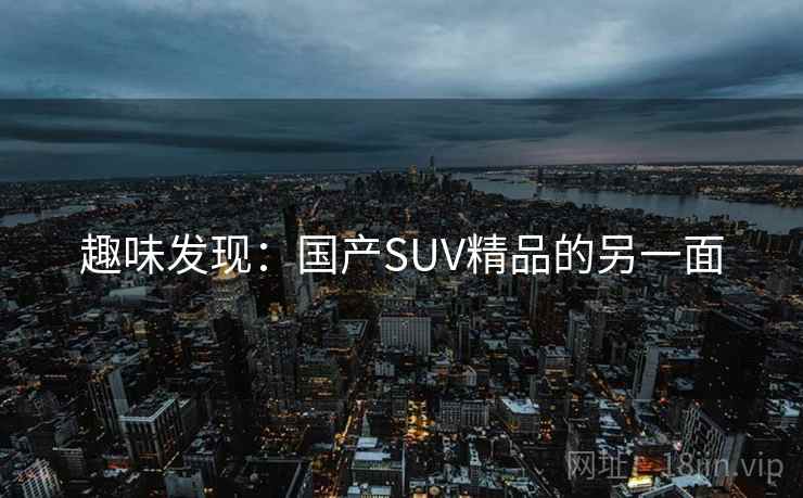 趣味发现：国产SUV精品的另一面  第1张