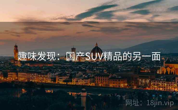趣味发现：国产SUV精品的另一面  第2张