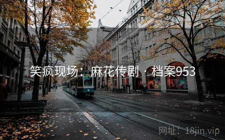 笑疯现场：麻花传剧 · 档案953