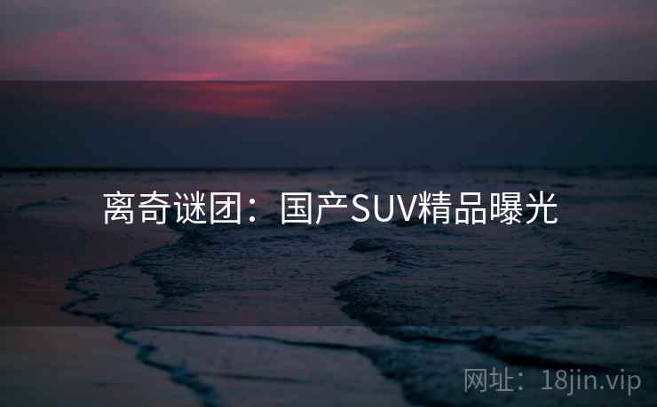 离奇谜团：国产SUV精品曝光