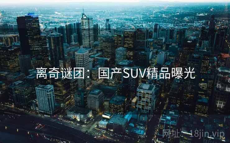 离奇谜团:国产SUV精品曝光 第2张 离奇谜团:国产SUV精品曝光 第2张